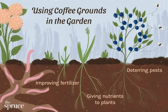 How to Compost Coffee Grounds