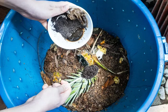 How to Compost Coffee Grounds