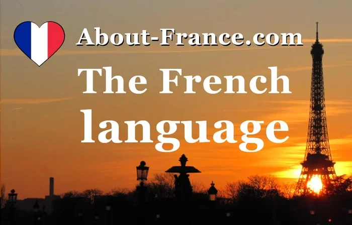 How Do You Use a French Press Coffee Maker