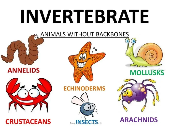 How Long to Air Fryer Asparagus at 400