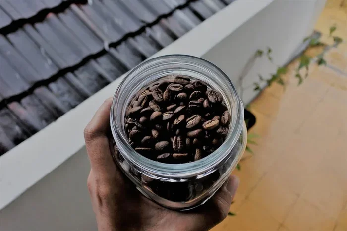 Does Coffee Absorb Odors