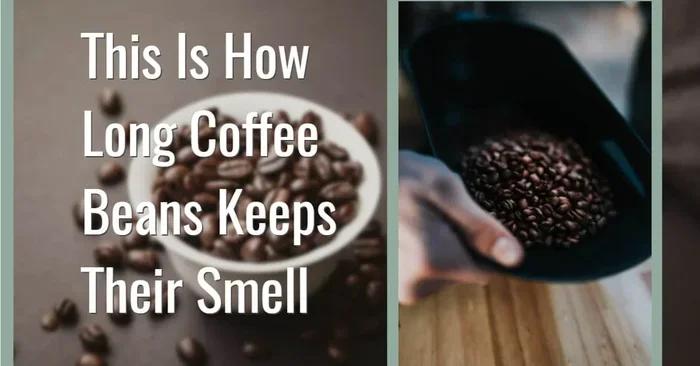 Does Coffee Absorb Odors