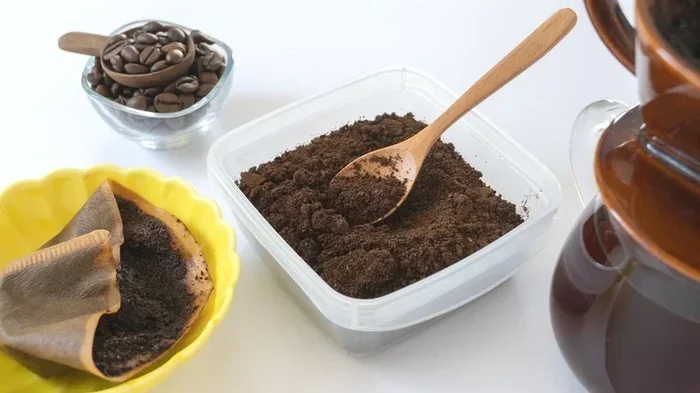 Does Coffee Absorb Odors