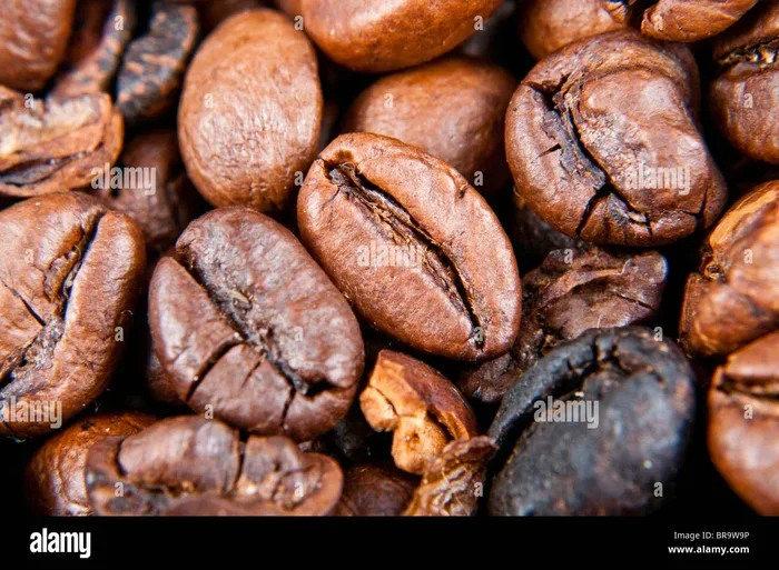 Does Coffee Beans Go Bad