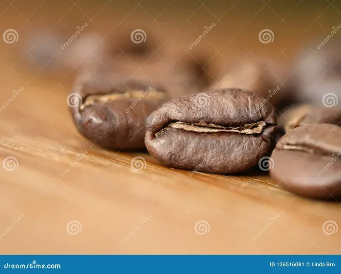 Does Coffee Beans Go Bad