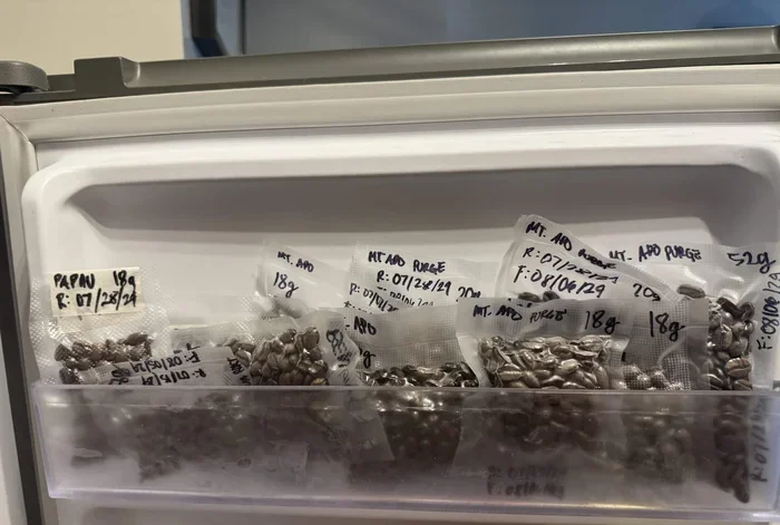 How Long Does Coffee Stay Good in the Fridge