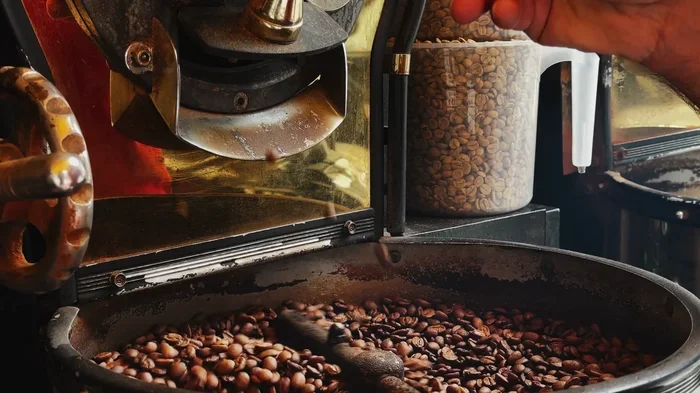 How to Roast Your Own Coffee