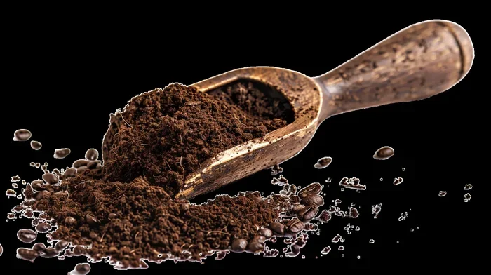How Much Coffee Grounds to Use