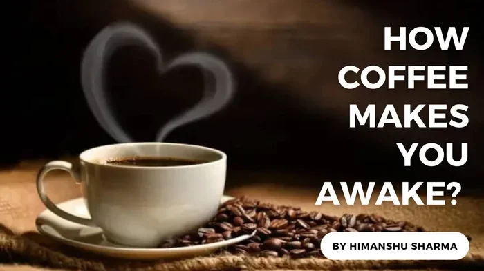 How Long Does Coffee Last to Keep You Awake