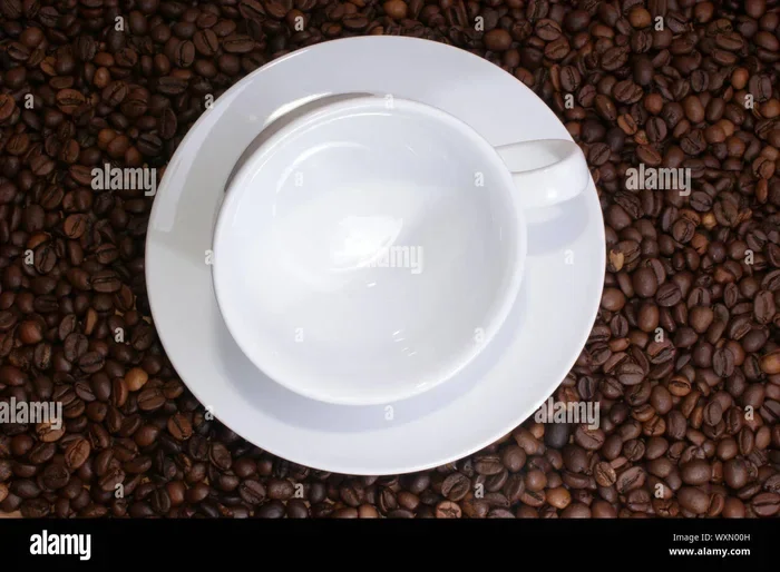How Long Does Coffee Stay in System