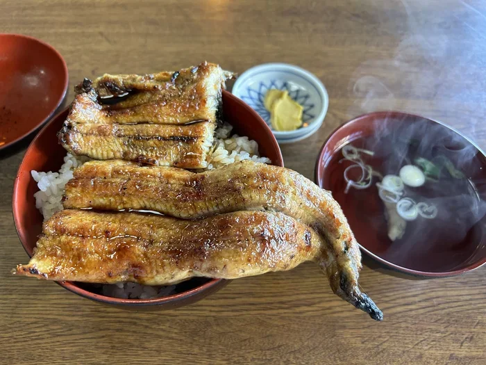 How Long to Bake Chicken Breast in Ninja Air Fryer