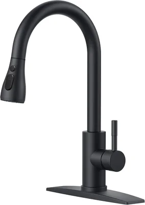 FORIOUS Black Kitchen Faucet with Pull Down Sprayer, Stainless Steel C