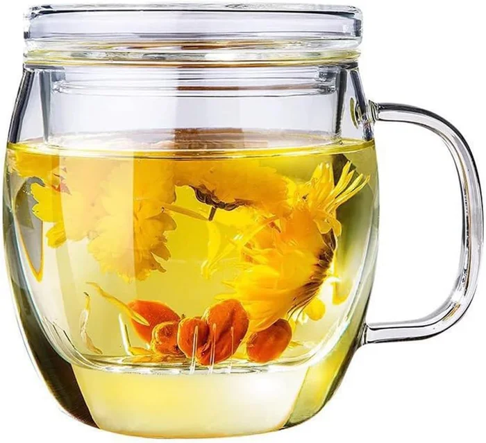 Glass Tea Cup with Infuser and Lid, 17 oz Clear Loose Leaf Tea Infuser