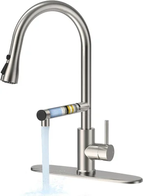 FEELSO Filter Water Kitchen Faucets with Pull Down Sprayer in Brushed 