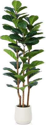 5ft Tall Artificial Fiddle Leaf Fig Tree with White Planter and Natura