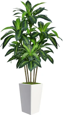 Flydeer 6FT Artificial Dracaena Tree with Tall White Planter Floor Pla