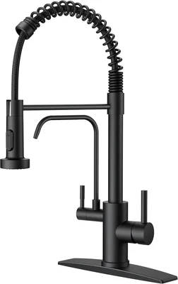 FORIOUS Black Kitchen Faucet with Purified Water Filter Pull Down Spra