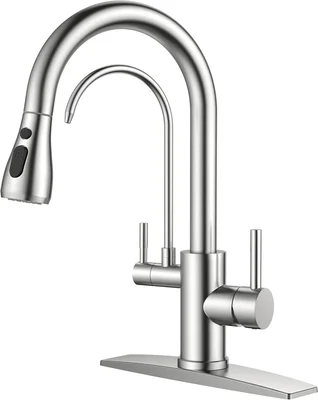 FORIOUS Kitchen Faucet with Purified Water, 2 Handle, Brushed Nickel F