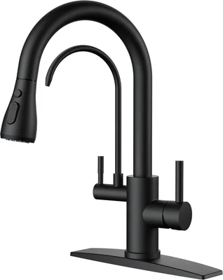 FORIOUS High Arc 2-Handle Kitchen Faucet Black with Purified Water Sys