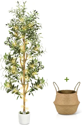 Olive Trees Artificial Indoor 6Ft Tall Faux Plants Large Fake Olivos T