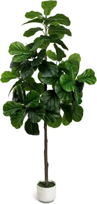 Artificial Fiddle Leaf Fig Tree 6FT with White Planter for Indoor Deco