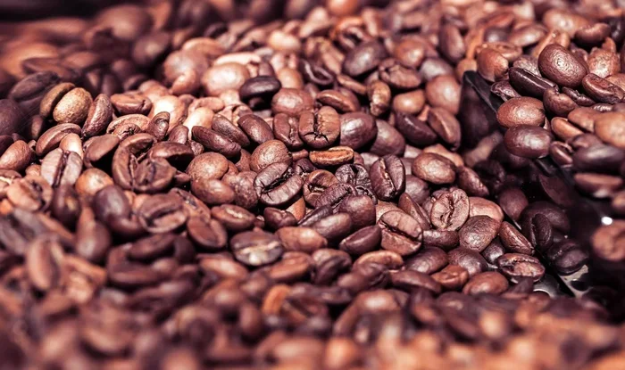 How Long Do Roasted Coffee Beans Last