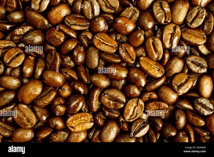 How Long Do Roasted Coffee Beans Last