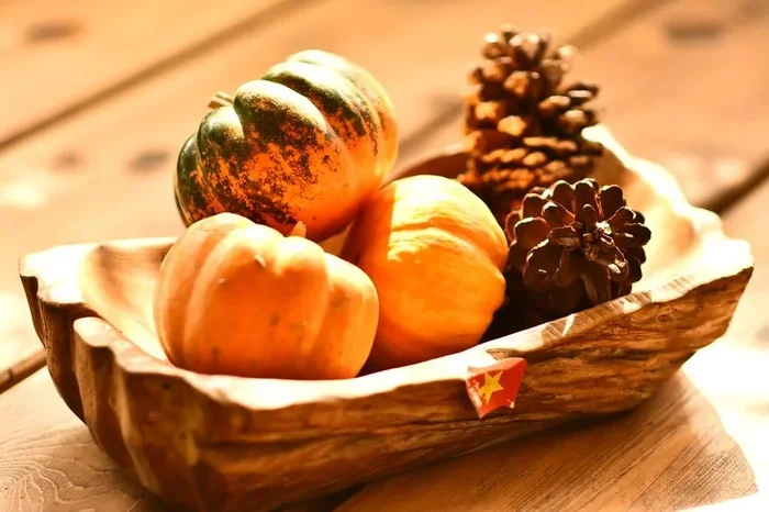 Acorn Food Is the Next Big Superfood You Need to Try