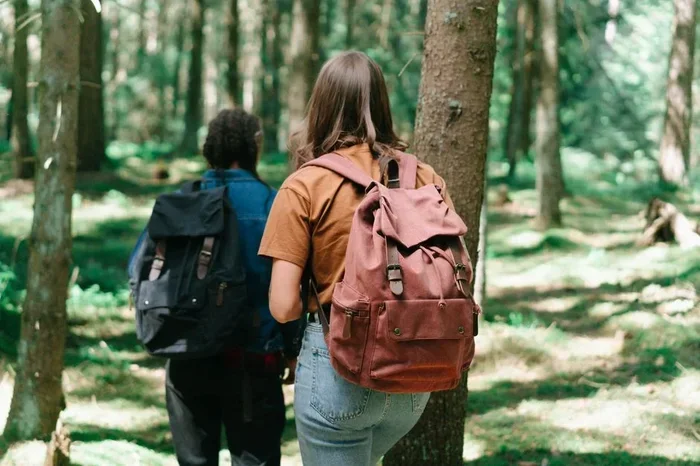 How to Choose the Perfect Backpack for Your Next Adventure