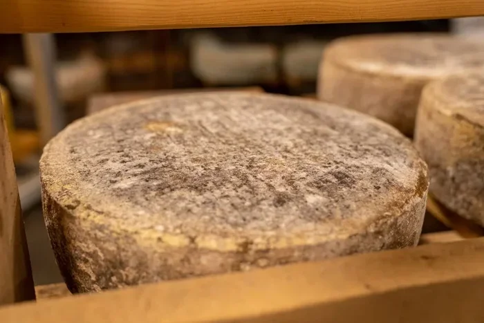 The Ultimate Guide to Comte Cheese and Why You Will Love It