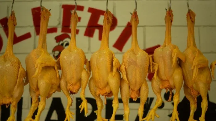 Chicken Internal Temp The Ultimate Guide for Safe Cooking