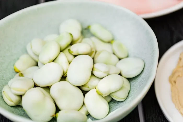Broad Beans The Ultimate Guide To Growing And Eating Them
