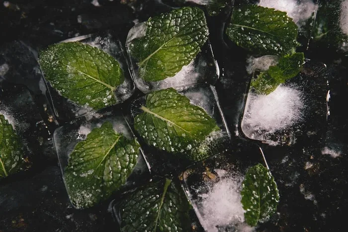Freeze Fresh Herbs in 3 Steps