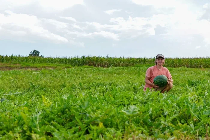 Everything You Need to Know About Watermelon Season