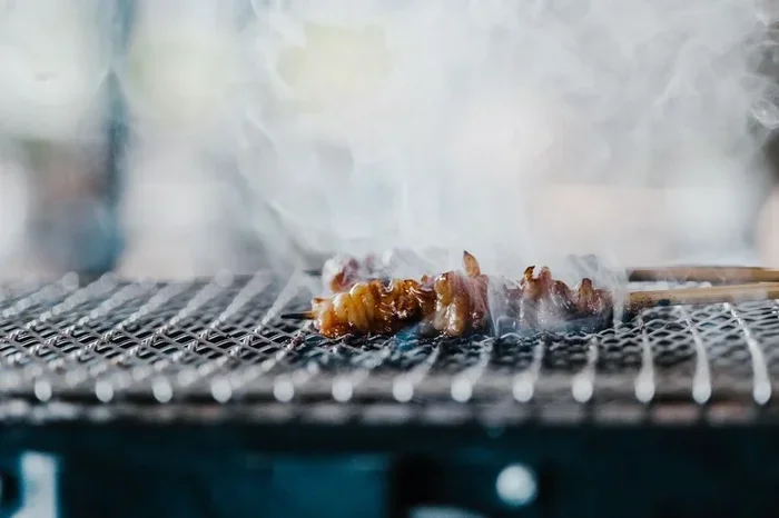 Chicken Gizzard Is the Most Nutritious Organ Meat You Need