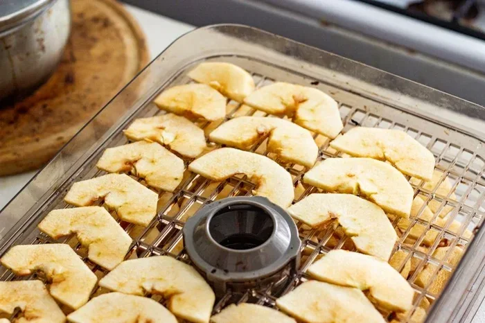 Choosing a Dehydrator for Home Use Made Easy Today