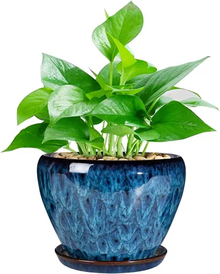 Ceramic Modern Glaze Succulent Planter Pot 6 Inch Round with Drainage 
