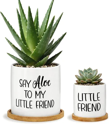 Say Aloe to My Little Friend Planter Pot Plant Lover Set with Bamboo T