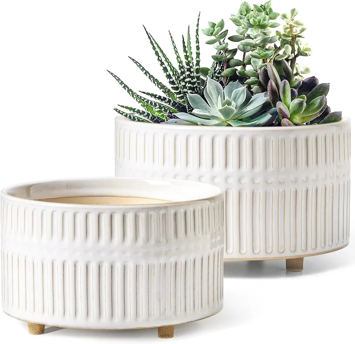 LE TAUCI Succulent Planters 6.5 and 8 Inch Ceramic Indoor Plant Pot wi