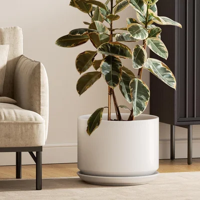 LE TAUCI 12 Inch Pots for Plants Ceramic Planter with Saucer White Mod