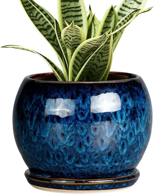 SQOWL 6 Inch Ceramic Plant Pot with Drainage Hole and Saucer for Succu