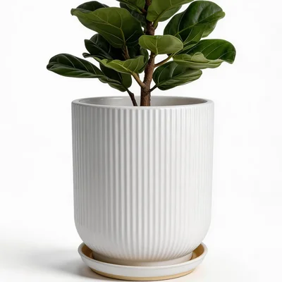 Deep Dream 10 Inch Ceramic Pots for Plants Heavy Indoor Outdoor Pot wi