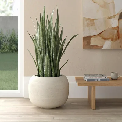 MGWILL 13 Inch Plant Pot Elegant Planters for Indoor Plants with Drain