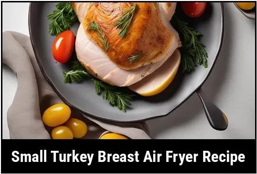 How To Cook A Small Turkey Breast In An Air Fryer