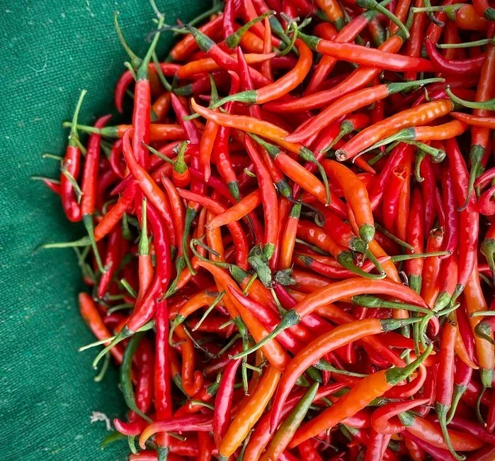 Understanding the Scoville Scale and Spice Heat Levels