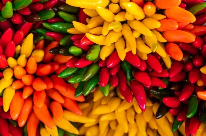 Everything You Need to Know About the Scoville Scale Peppers