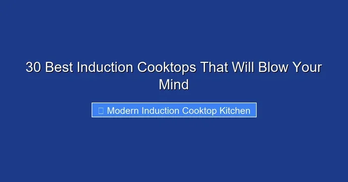 30 Best Induction Cooktops That Will Blow Your Mind